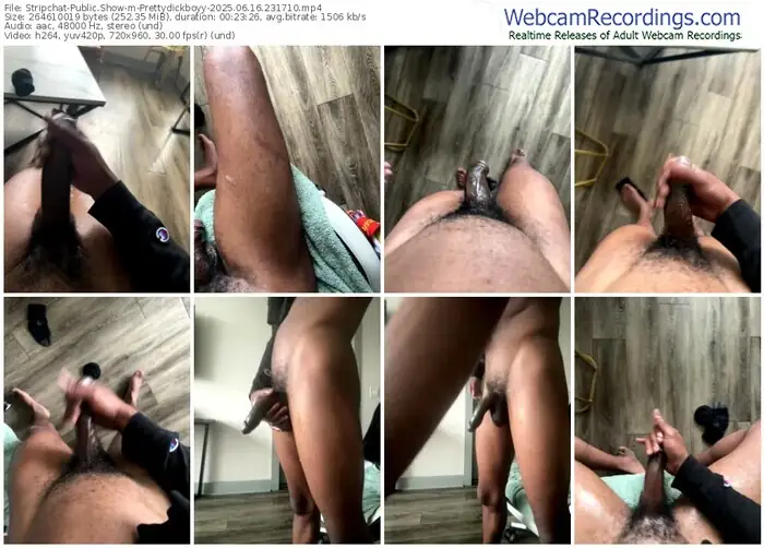 2025/06/16/stripchat-prettydickboyy-23-17-10