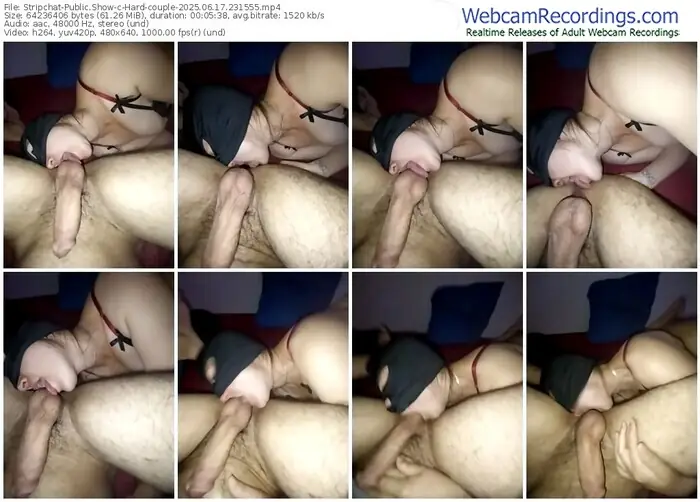 2025/06/17/stripchat-hard-couple-23-15-55