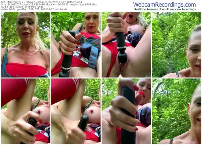 2025/06/17/stripchat-kate-monroe-10-45-57