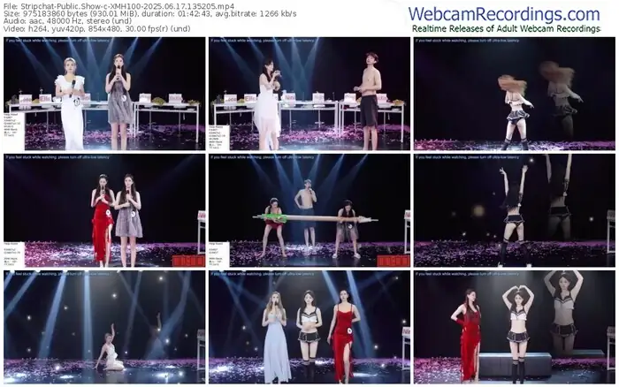 2025/06/17/stripchat-xmh100-13-52-05