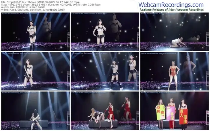 2025/06/17/stripchat-xmh100-14-41-36
