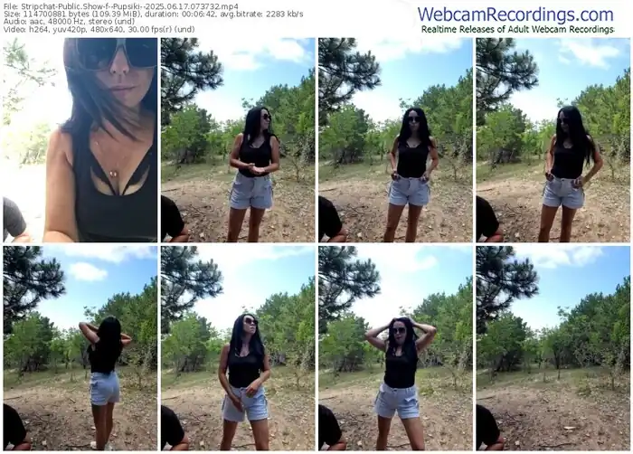 2025/06/17/stripchat--pupsiki--07-37-32