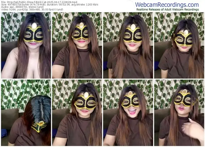 2025/06/17/stripchat-bold-cat-22-46-28