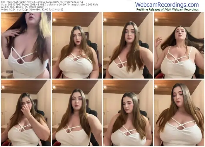 2025/06/17/stripchat-kamilla_loop-02-24-04