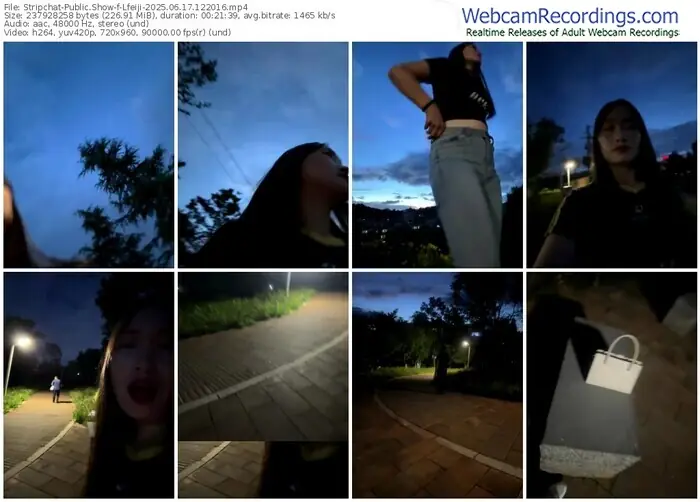 2025/06/17/stripchat-lfeiji-12-20-16