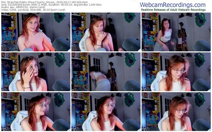 2025/06/17/stripchat-sunny_mouse_-18-13-29