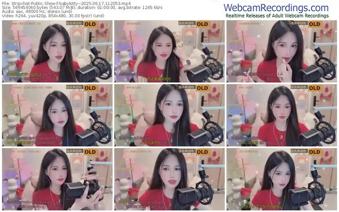 2025/06/17/stripchat-babykitty--11-20-53
