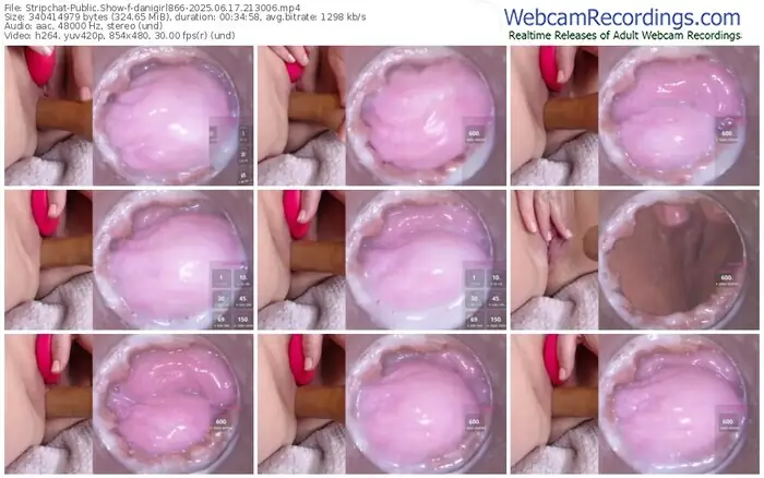 2025/06/17/stripchat-danigirl866-21-30-06