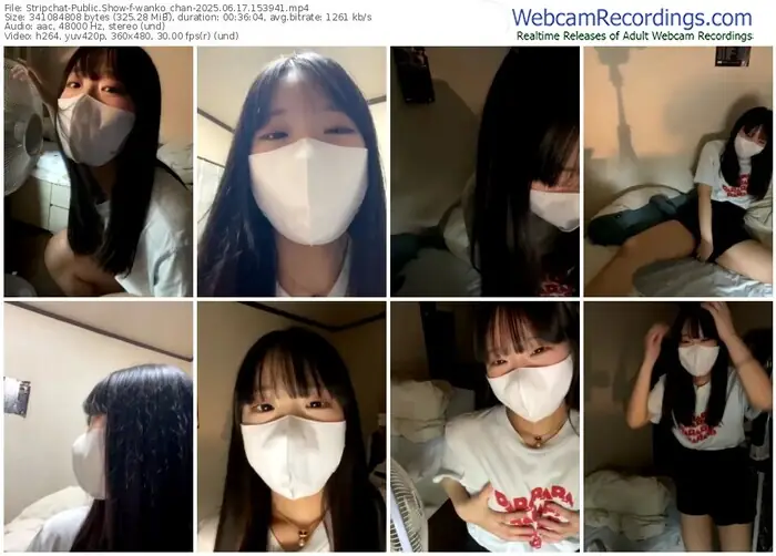 2025/06/17/stripchat-wanko_chan-15-39-41