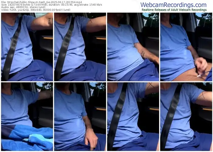 2025/06/17/stripchat-sash_ge-20-15-54