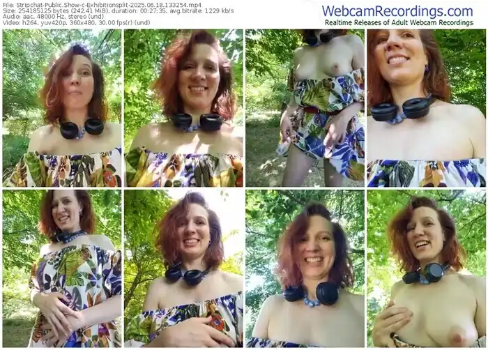 2025/06/18/stripchat-exhibitionsplit-13-32-54