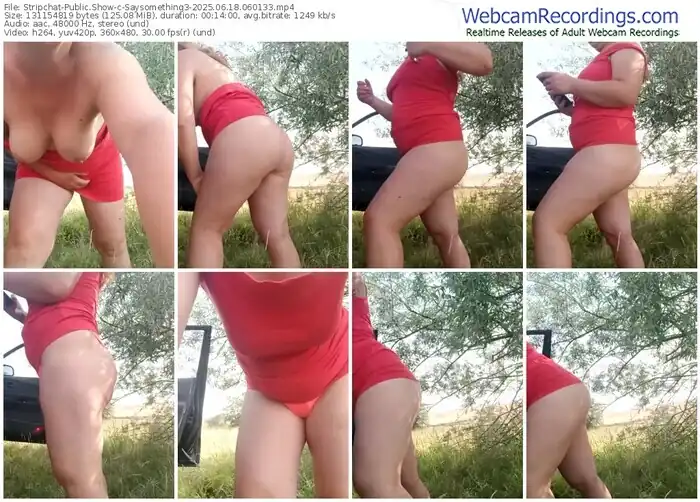 2025/06/18/stripchat-saysomething3-06-01-33