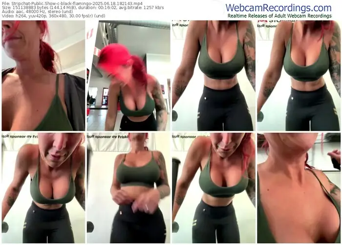 2025/06/18/stripchat-black-flamingo-18-21-43
