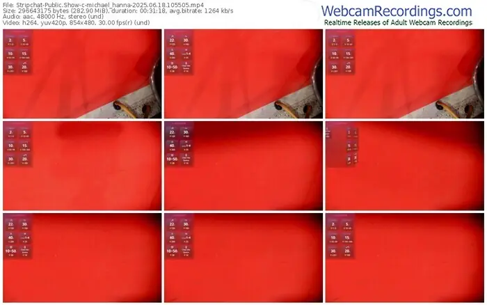 2025/06/18/stripchat-michael_hanna-10-55-05