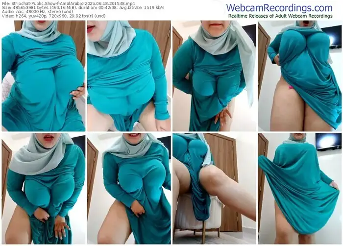 2025/06/18/stripchat-amalarabic-20-15-48