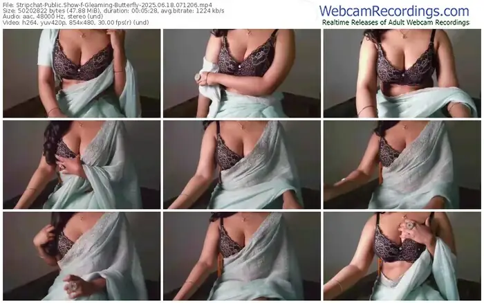2025/06/18/stripchat-gleaming-butterfly-07-12-06