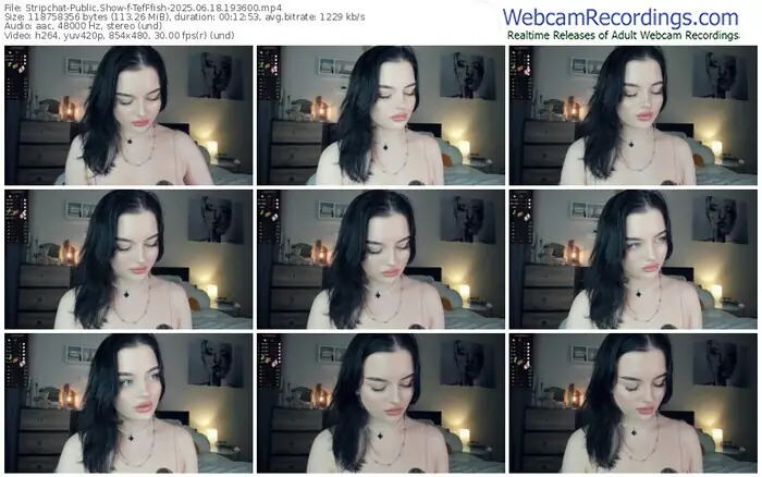 2025/06/18/stripchat-tefffish-19-36-00