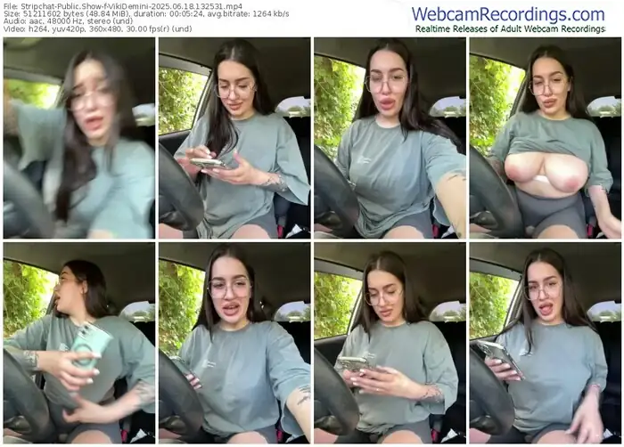 2025/06/18/stripchat-vikidemini-13-25-31