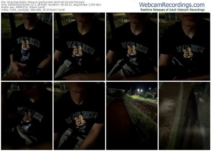 2025/06/18/stripchat-gochu1004-14-27-29