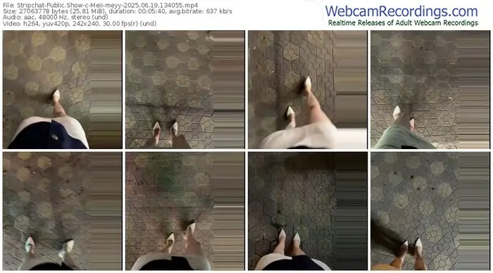 2025/06/19/stripchat-meii-meyy-13-40-55