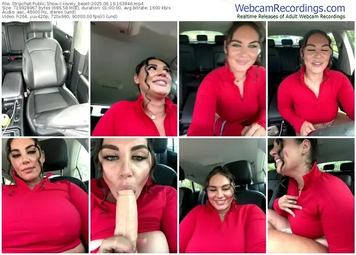 2025/06/19/stripchat-lovely_beast-16-38-46