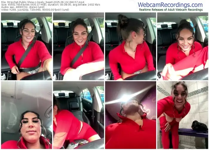 2025/06/19/stripchat-lovely_beast-18-41-57