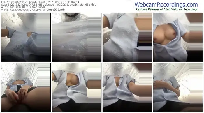 2025/06/19/stripchat-hamy88-10-14-58