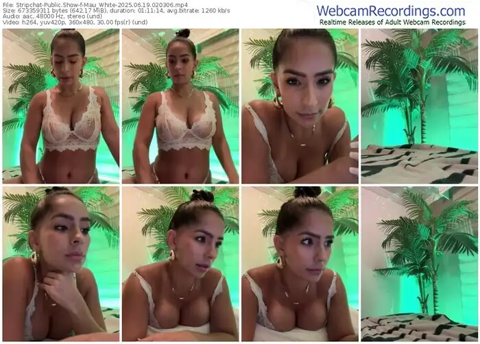 2025/06/19/stripchat-mau_white-02-03-06