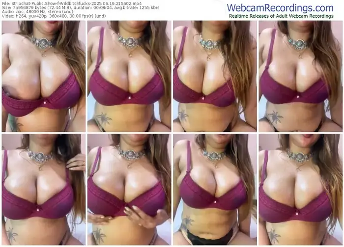 2025/06/19/stripchat-wildbitchfucks-21-55-02