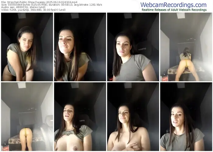 2025/06/19/stripchat-waspy-02-43-24