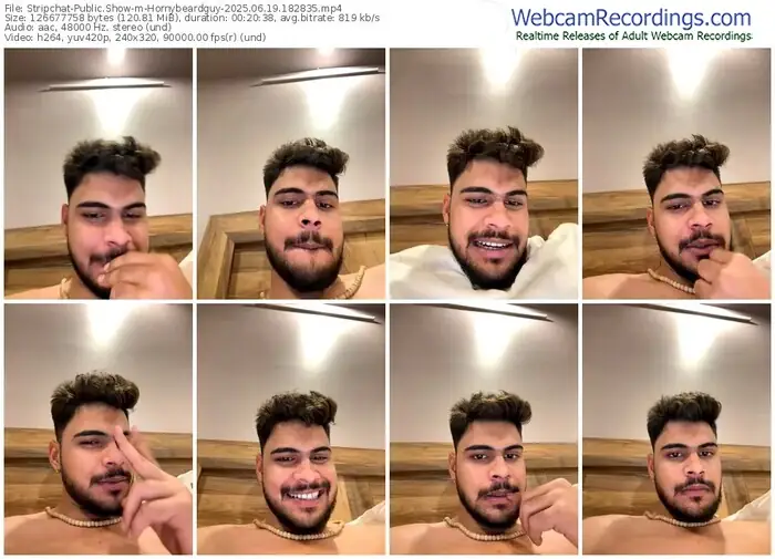 2025/06/19/stripchat-hornybeardguy-18-28-35