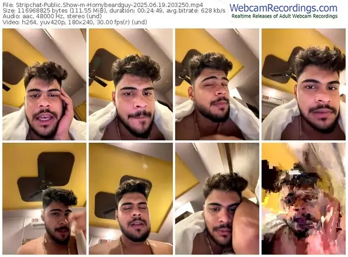 2025/06/19/stripchat-hornybeardguy-20-32-50