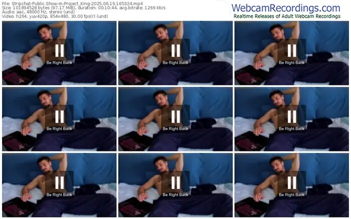 2025/06/19/stripchat-project_king-16-53-24