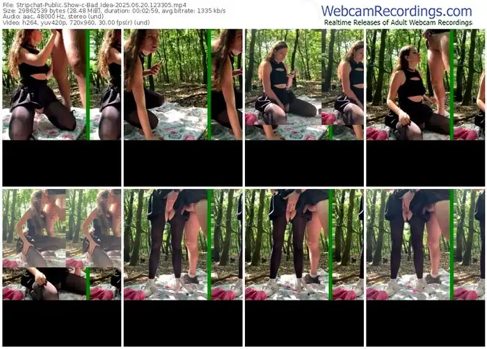 2025/06/20/stripchat-bad_idea-12-33-05