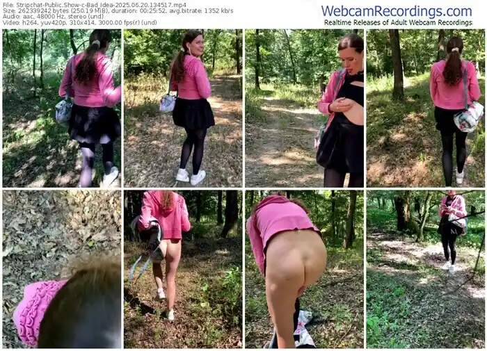 2025/06/20/stripchat-bad_idea-13-45-17