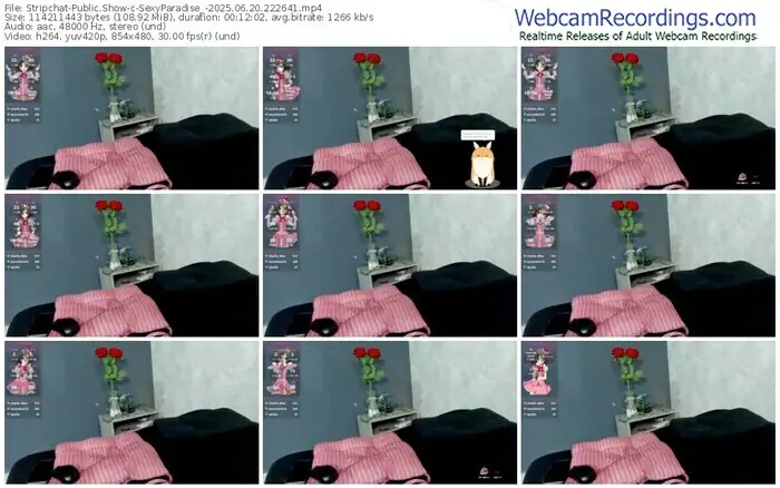 2025/06/20/stripchat-sexyparadise_-22-26-41