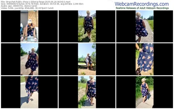 2025/06/20/stripchat-siberia-taiga-06-34-10