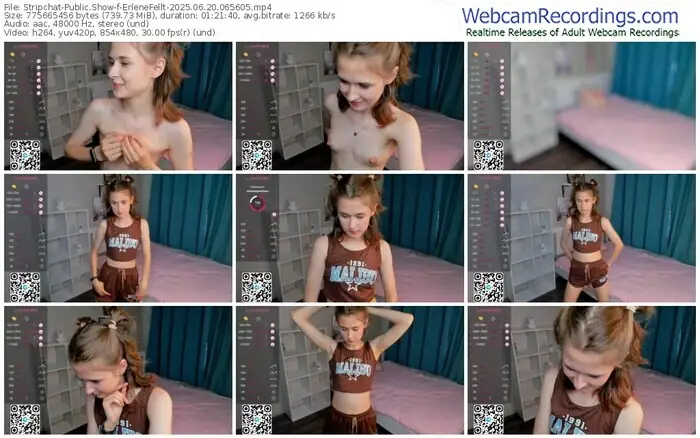 2025/06/20/stripchat-erlenefellt-06-56-05