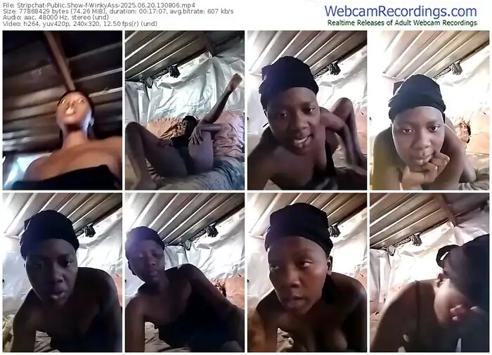 2025/06/20/stripchat-winkyass-13-08-06