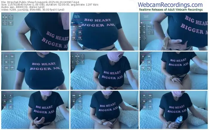 2025/06/20/stripchat-zoeypink-04-39-07