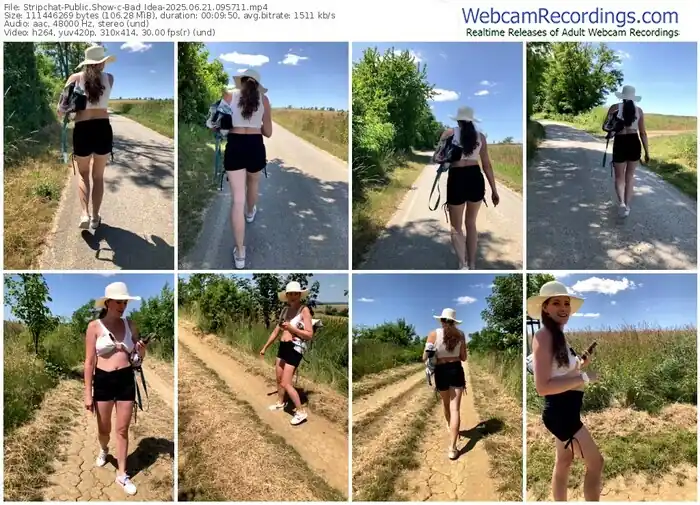 2025/06/21/stripchat-bad_idea-09-57-11