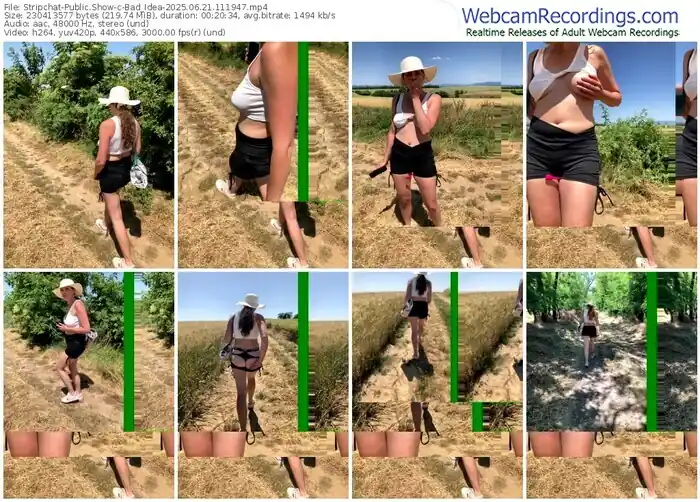 2025/06/21/stripchat-bad_idea-11-19-47