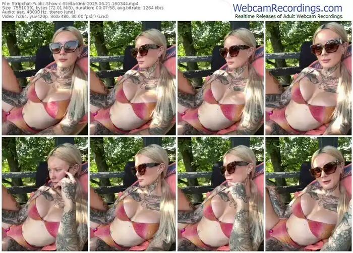 2025/06/21/stripchat-stella-kink-16-03-44