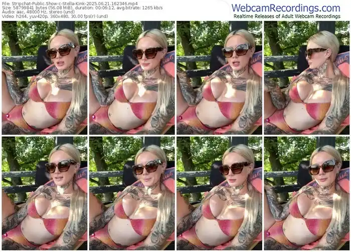 2025/06/21/stripchat-stella-kink-16-23-46