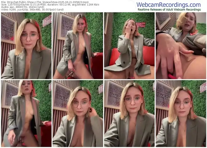 2025/06/21/stripchat-the_snowwhitee-09-58-23