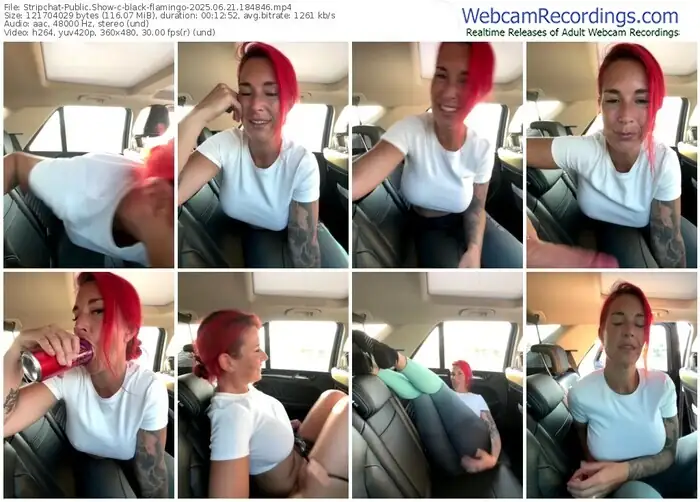 2025/06/21/stripchat-black-flamingo-18-48-46