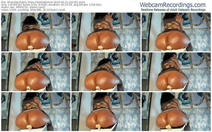 2025/06/21/stripchat-merliasomer-23-13-51