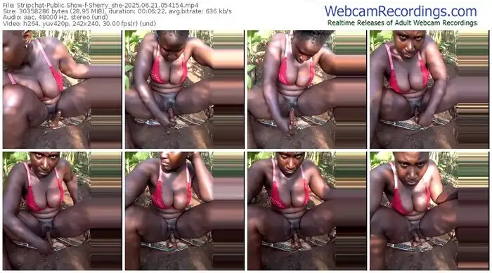 2025/06/21/stripchat-sherry_she-05-41-54