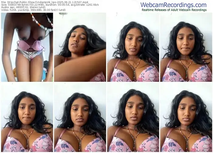 2025/06/21/stripchat-indianpink_lips-12-15-07
