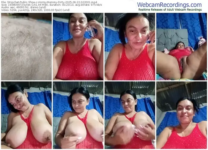 2025/06/22/stripchat-horny-mommy-dirty-02-20-01